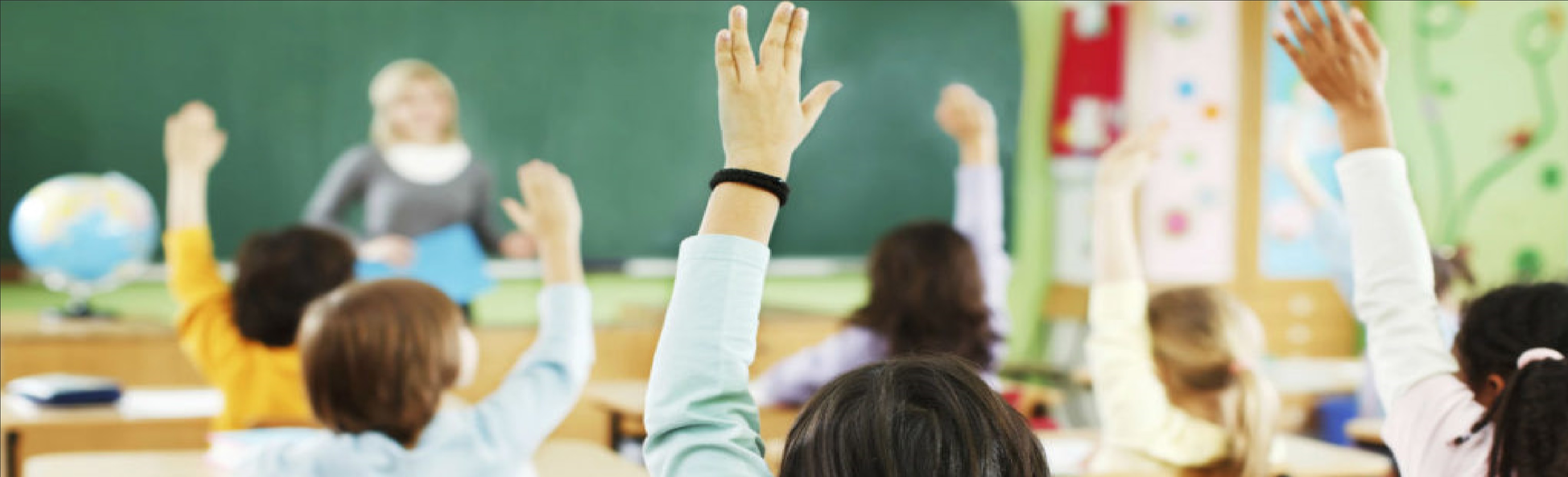 Education Background